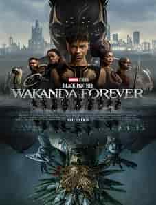 Black Panther: Wakanda Forever (2022) Black Panther Wakanda Forever movie
