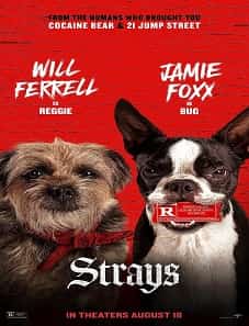 Strays (2023) Strays 2023 Movie